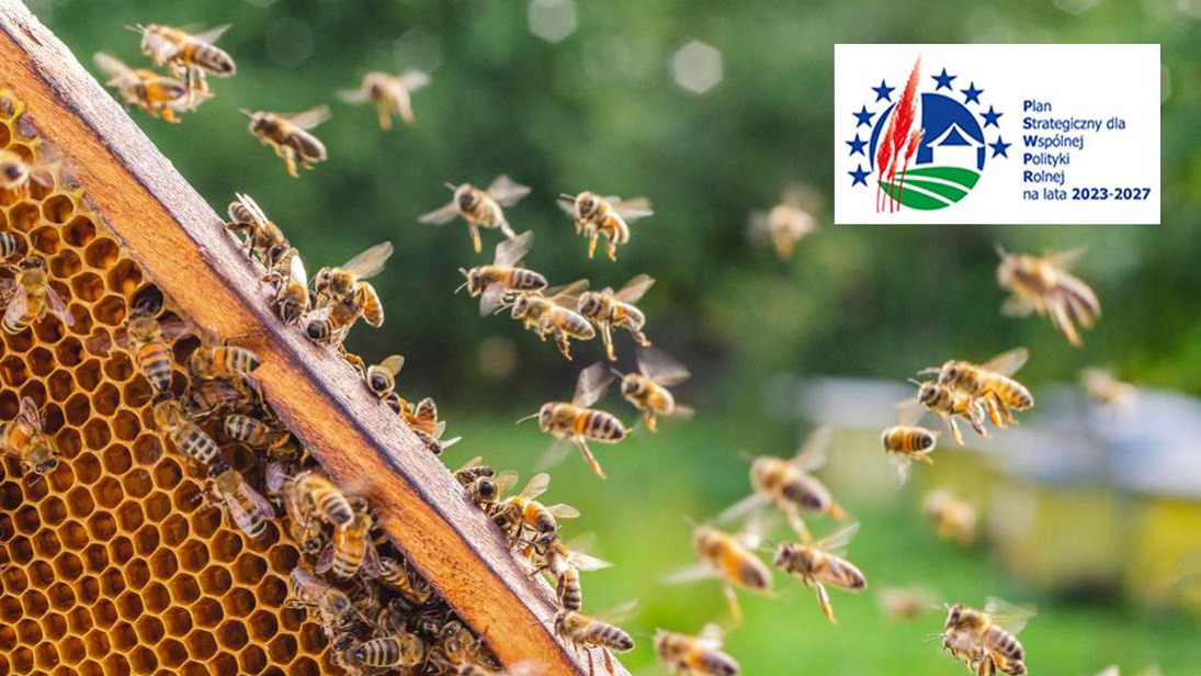 Trzy interwencje pszczelarskie – nabór wniosków przedłużony do 24 kwietnia 2023 r.
